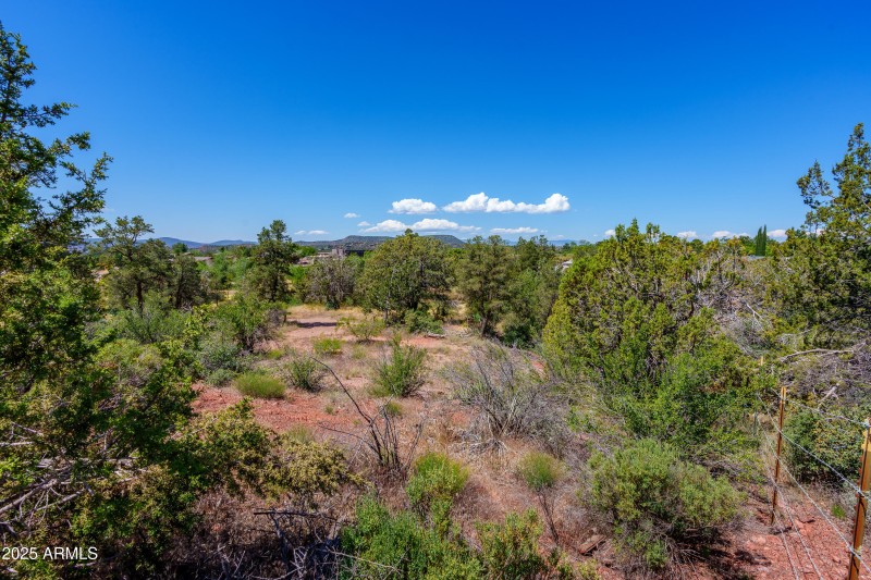 High Desert Landscape