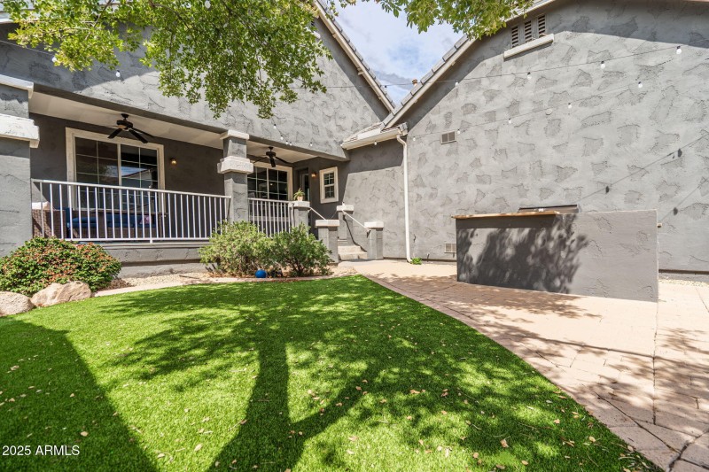 Shaded backyard with mature tree