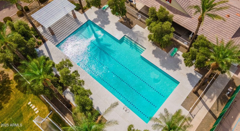 Community Lap Pool