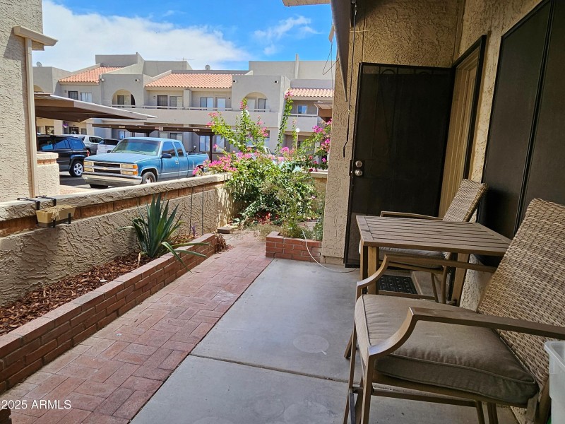 Back patio