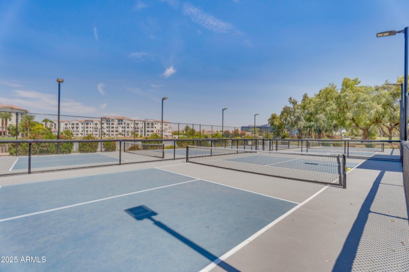 136-print-03-Vista Pickleball