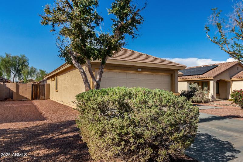 Front Yard with Blooming Shrubs