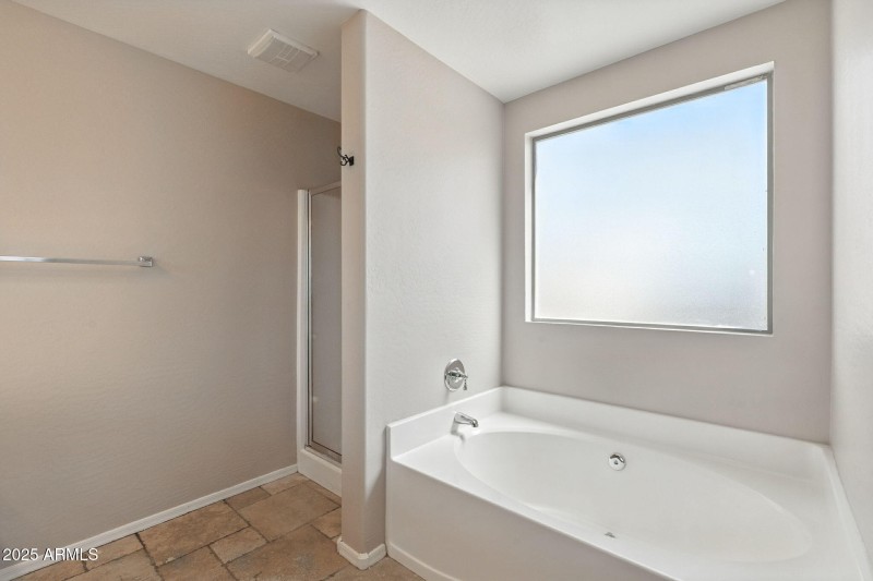 Master Bathroom Shower/Tub