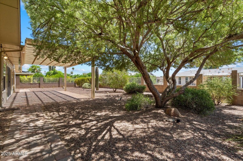 Shady backyard retreat