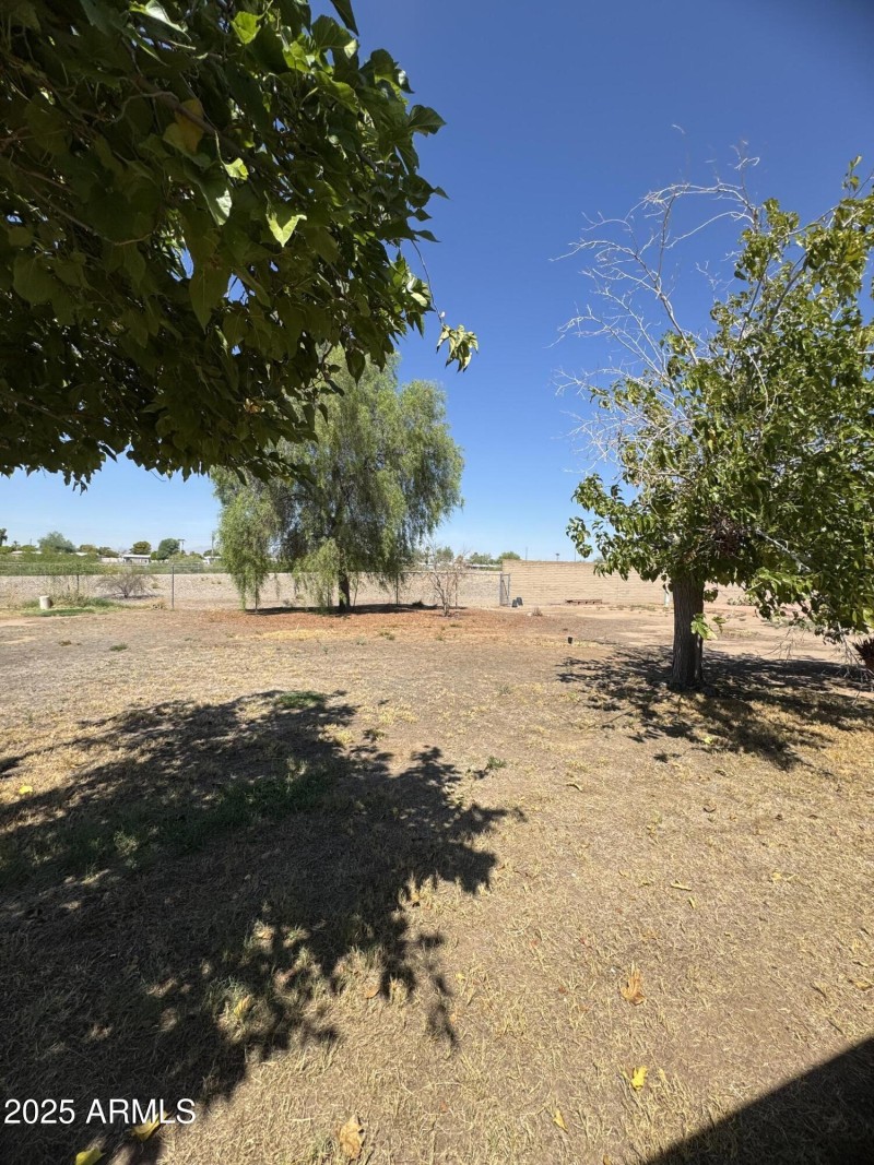 View of Oversized Backyard