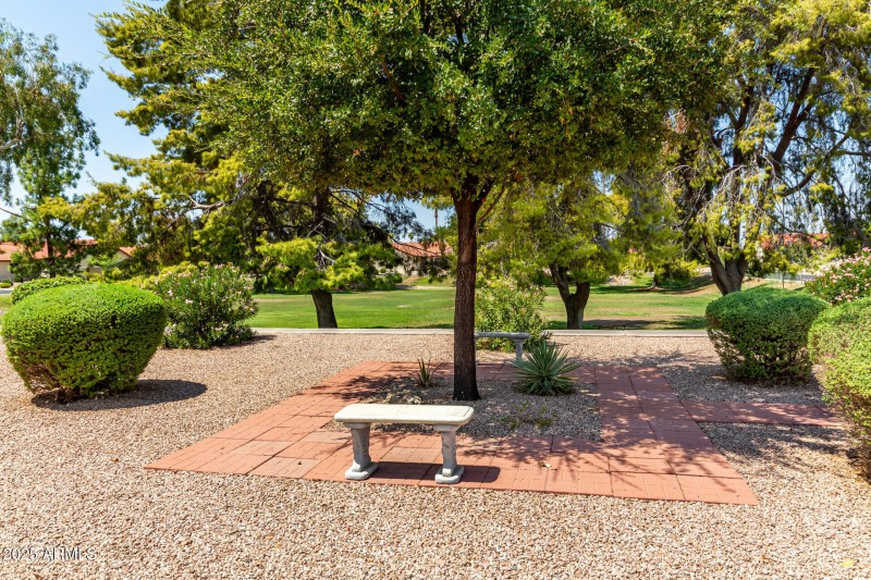 Grassy Area