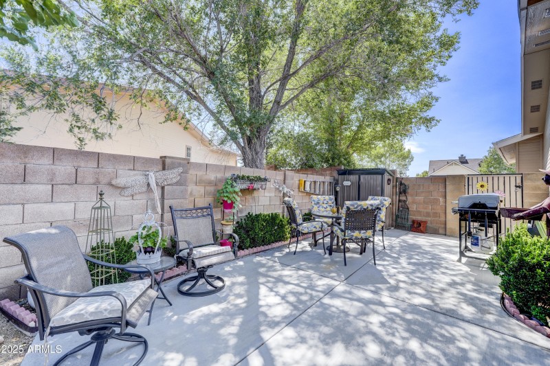 Back Patio 2