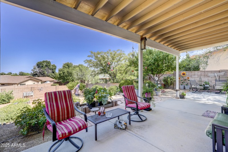 Back Patio 3