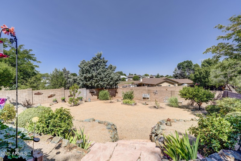 Back Yard 1