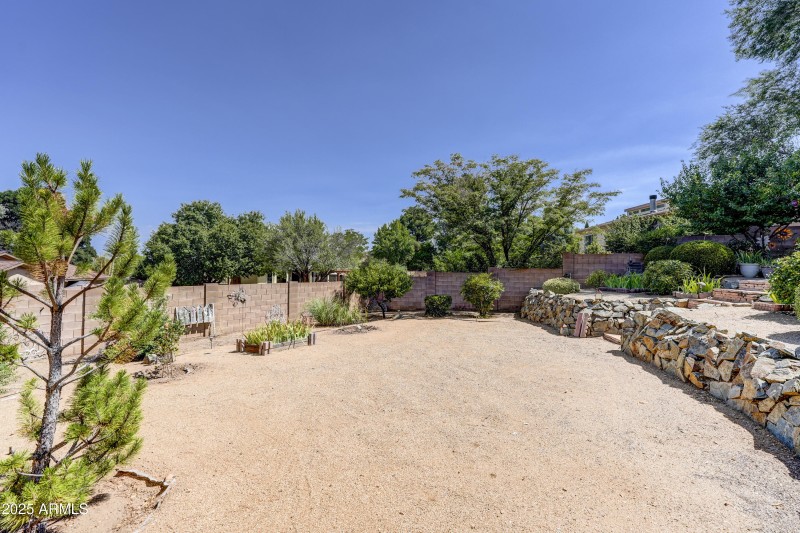 Back Yard 3