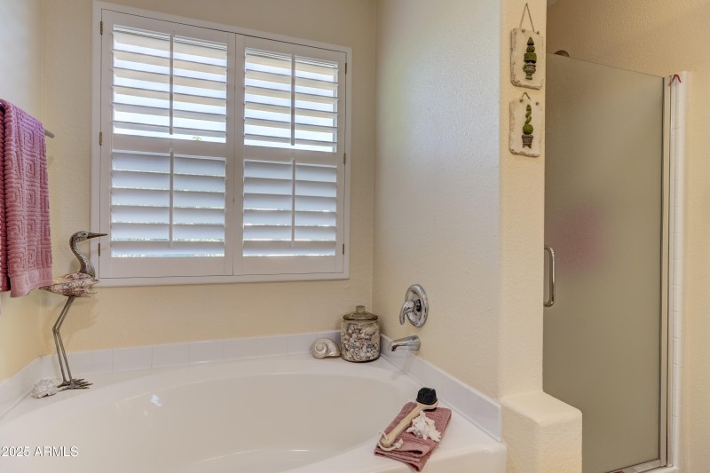Primary Bathroom 2