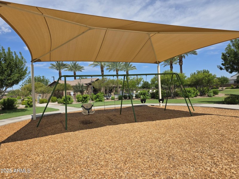 Community Swings