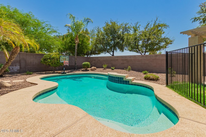backyard and pool