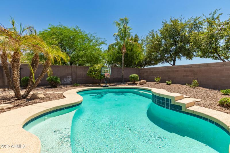 backyard and pool