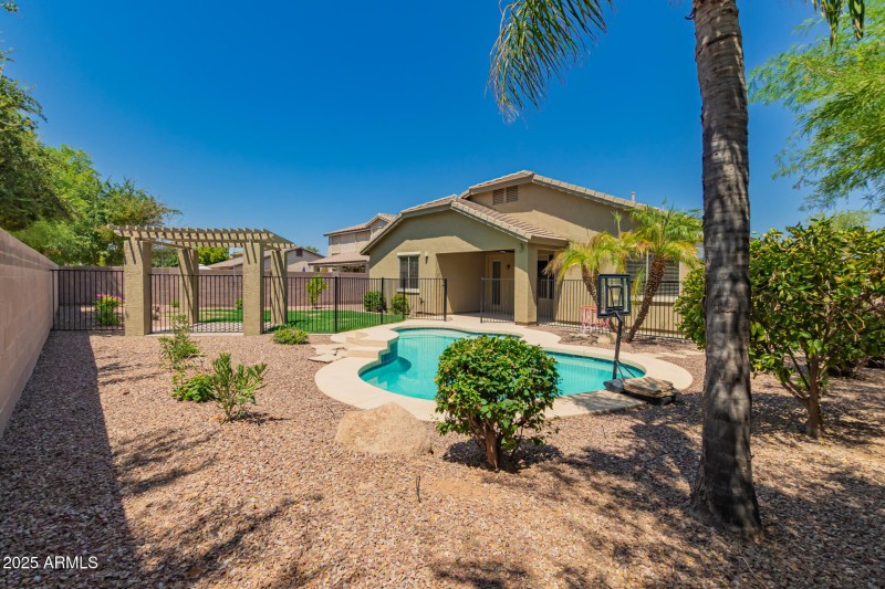 backyard and pool