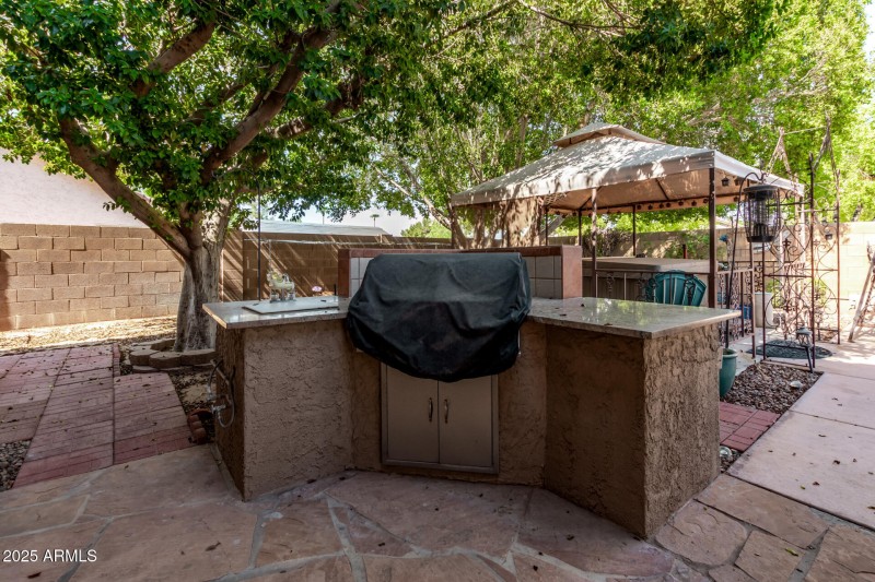 GAS GRILL WITH SINK