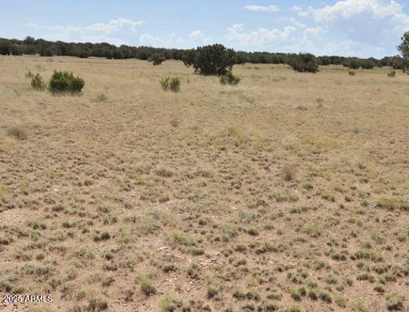 36 County Rd N5576