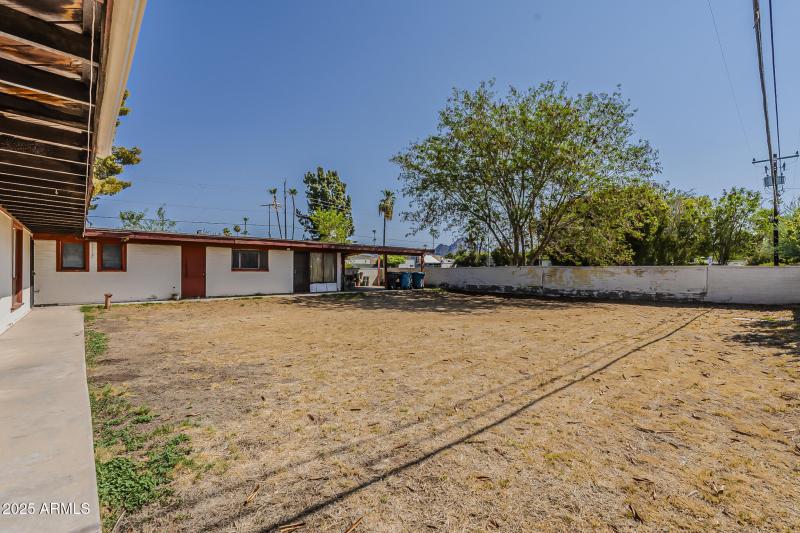 Backyard View