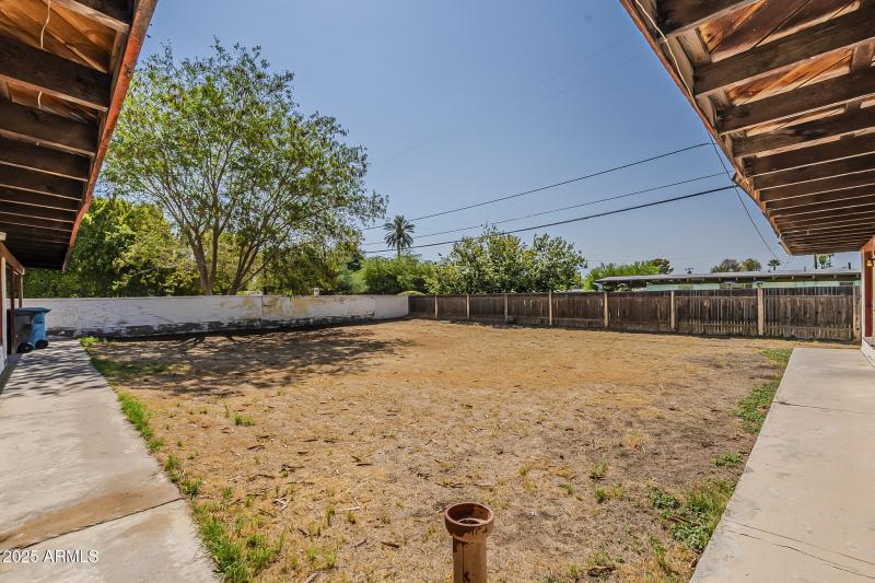 Backyard View