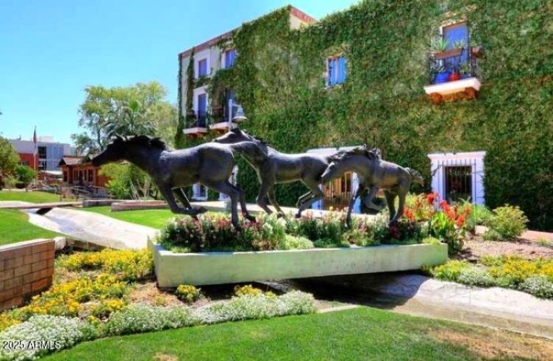 Maya 239B Scottsdale3