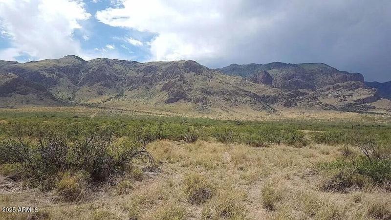 37 Acres Blacktail Rd.