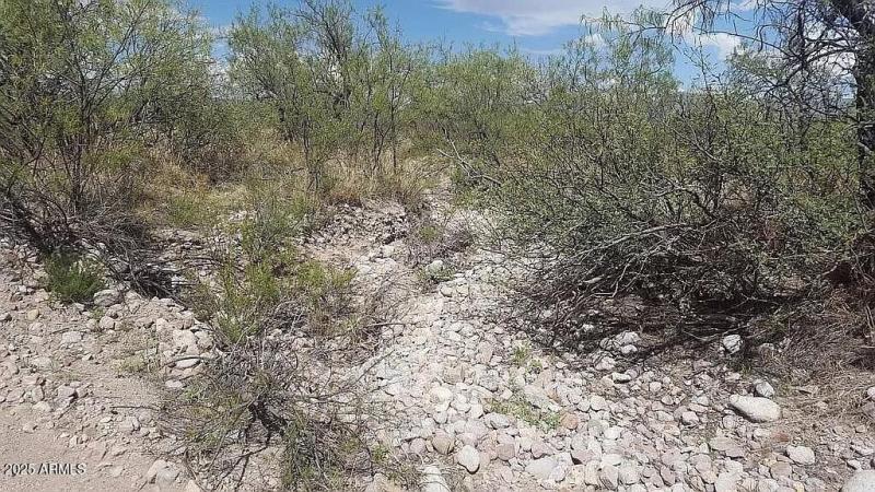 37 Acres Blacktail Rd.