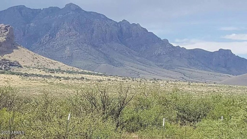 37 Acres Blacktail Rd.