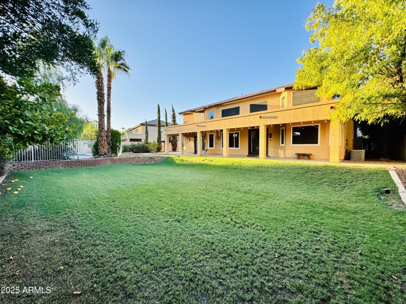 Backyard 1