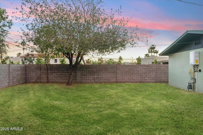 Backyard