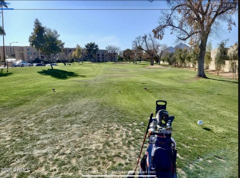 GOLF ANYONE
