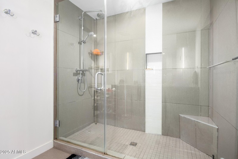 Primary Shower