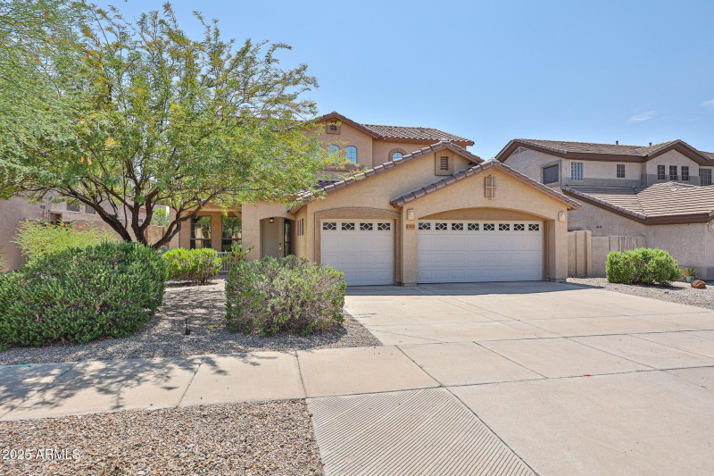 Low Maintenance Desert Landscaping