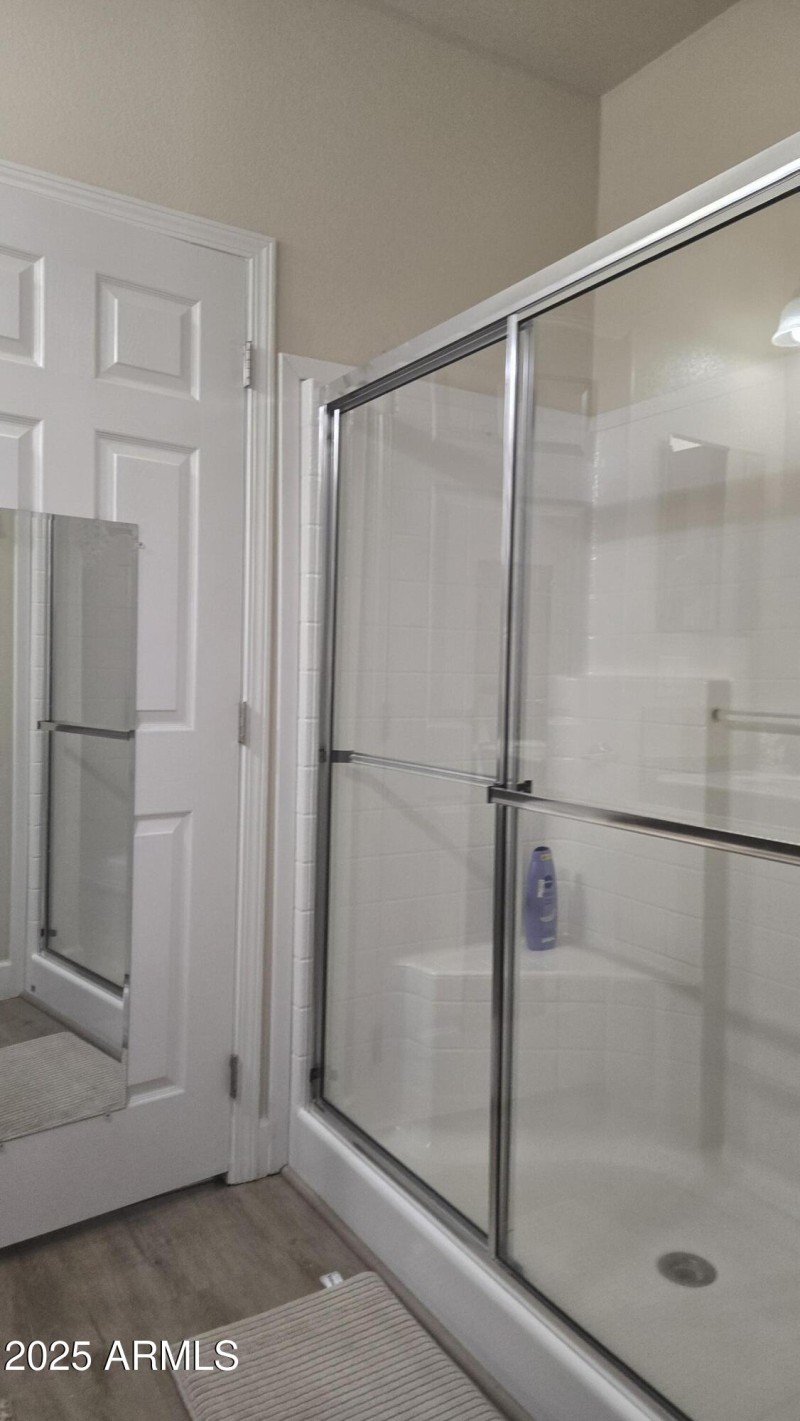 primary shower 2