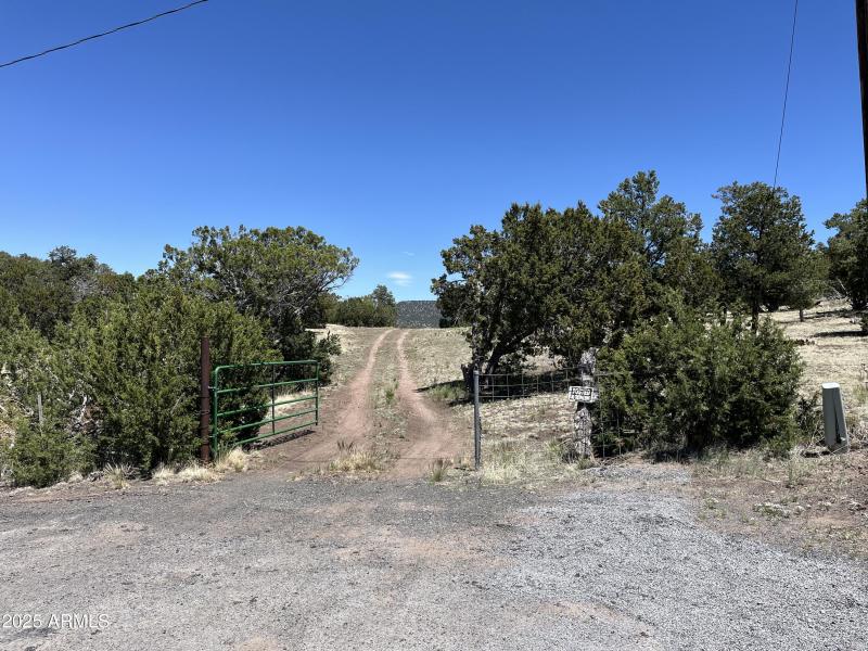 Online Land Auction