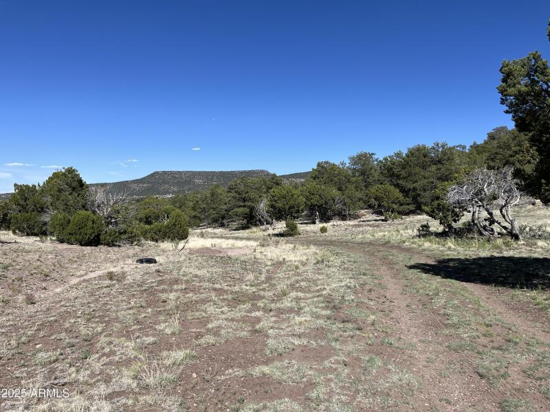 Online Land Auction