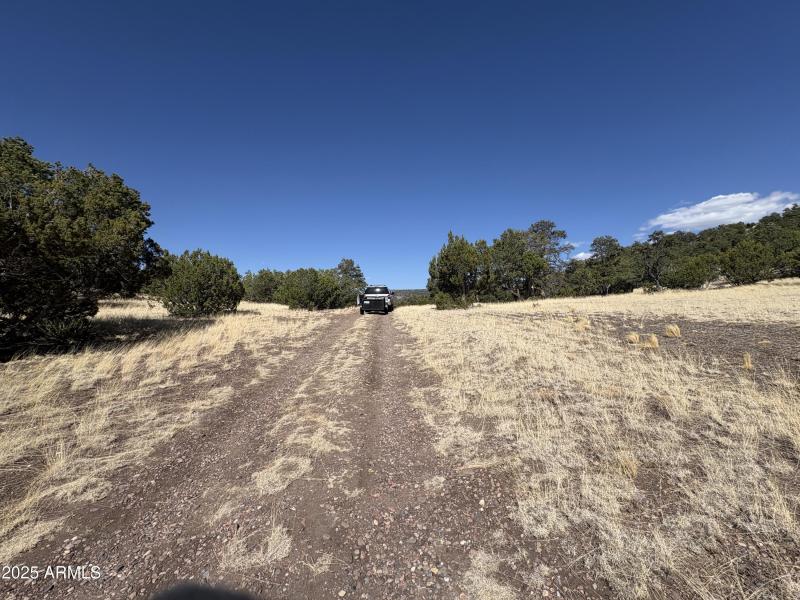Online Land Auction