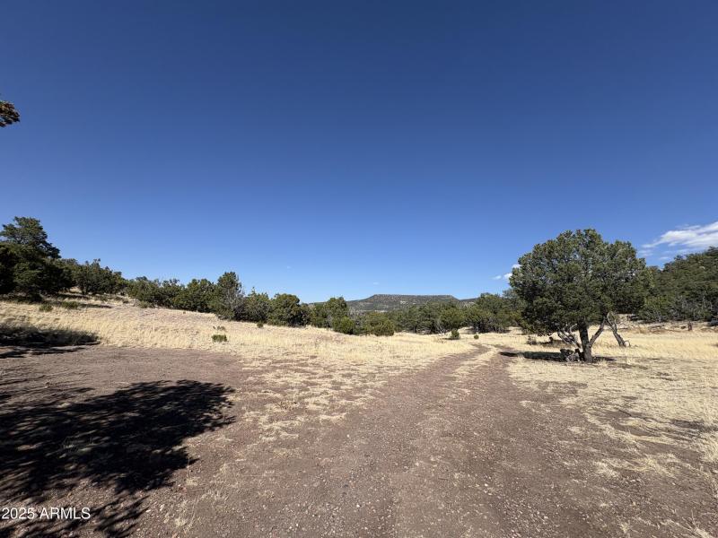 Online Land Auction