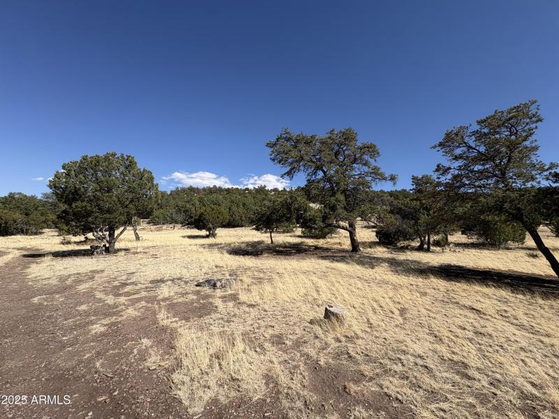 Online Land Auction