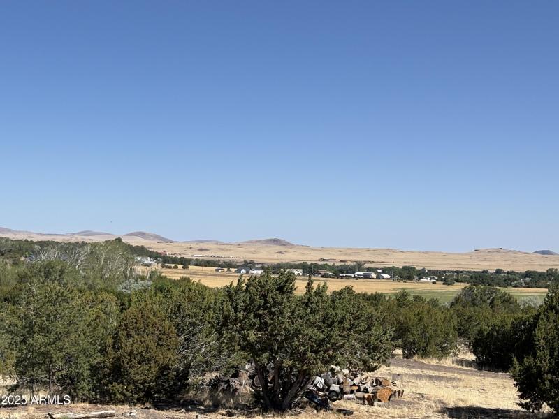 Online Land Auction