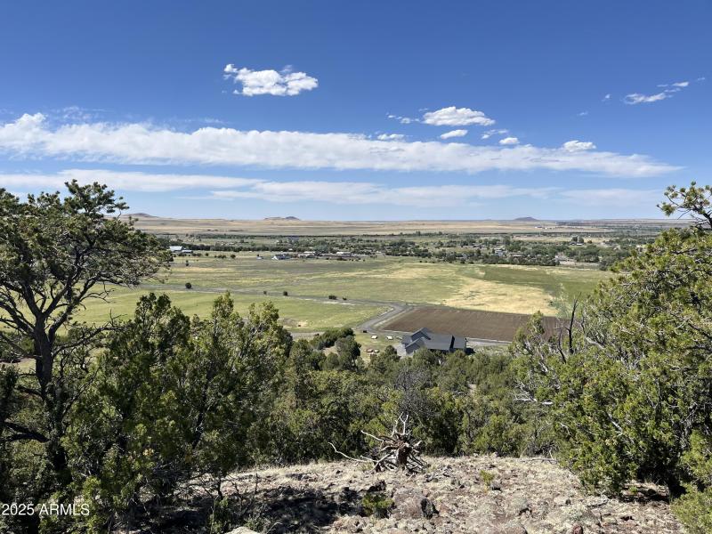Online Land Auction