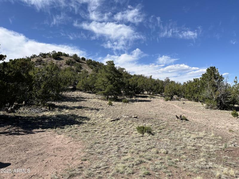 Online Land Auction