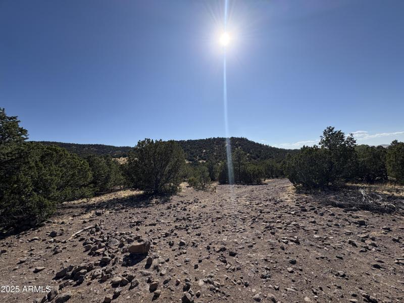 Online Land Auction