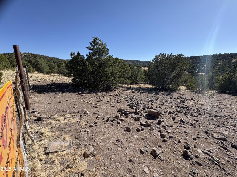 Online Land Auction