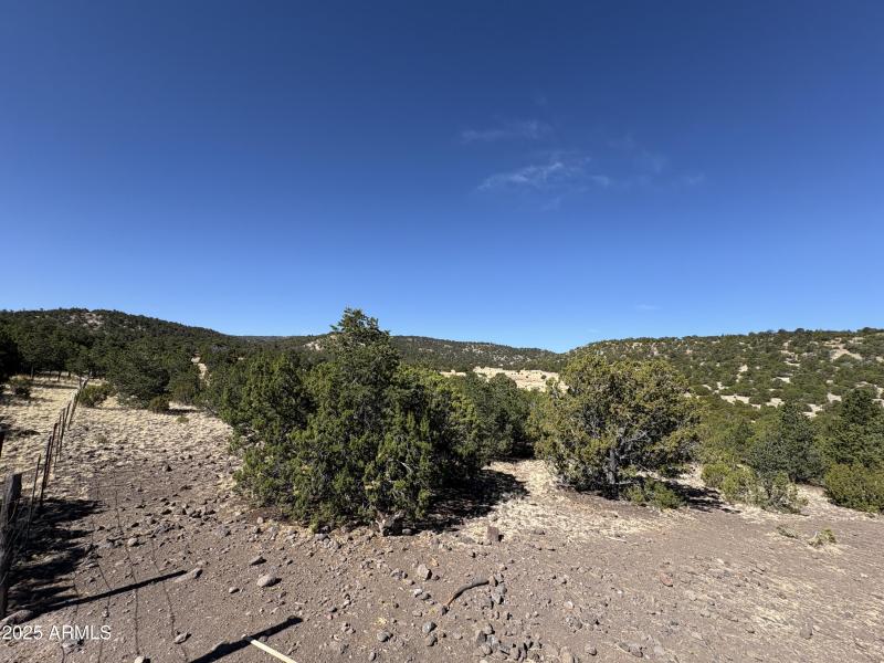 Online Land Auction