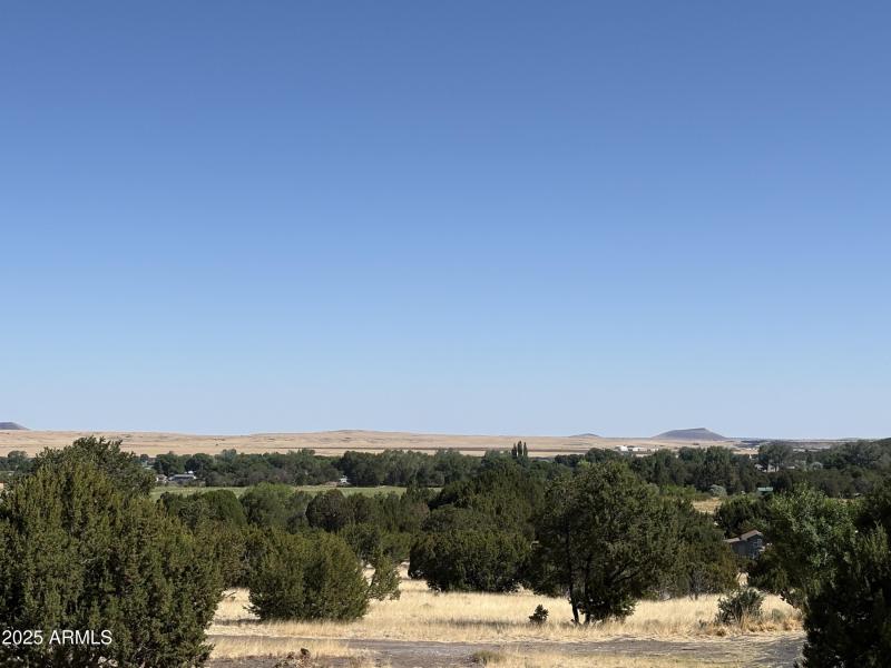 Online Land Auction