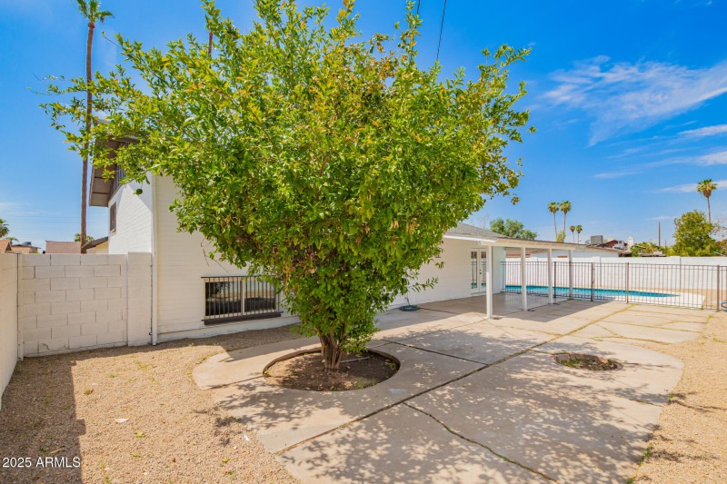 Large Backyard