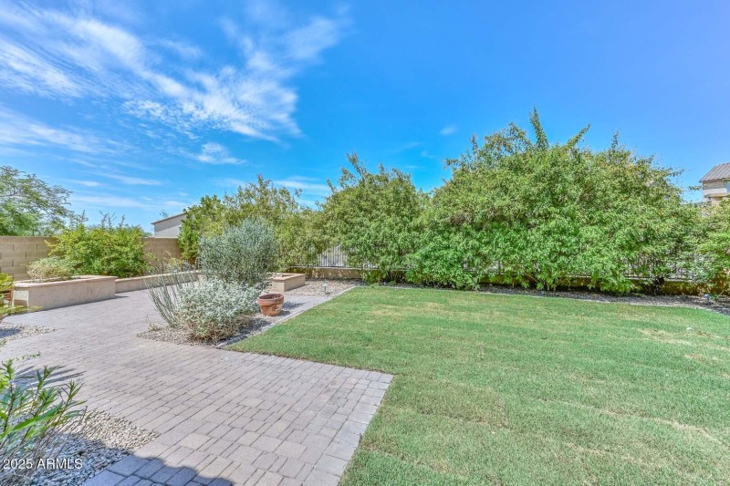 Backyard5