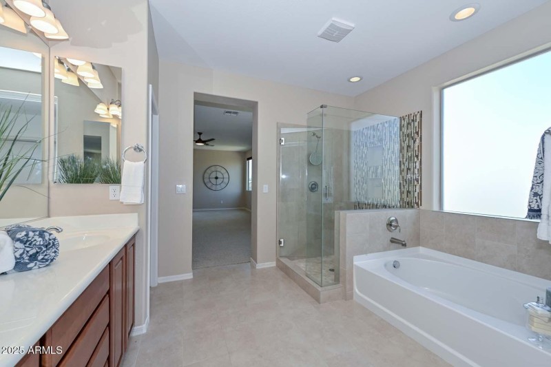 Primary Bath-Tub