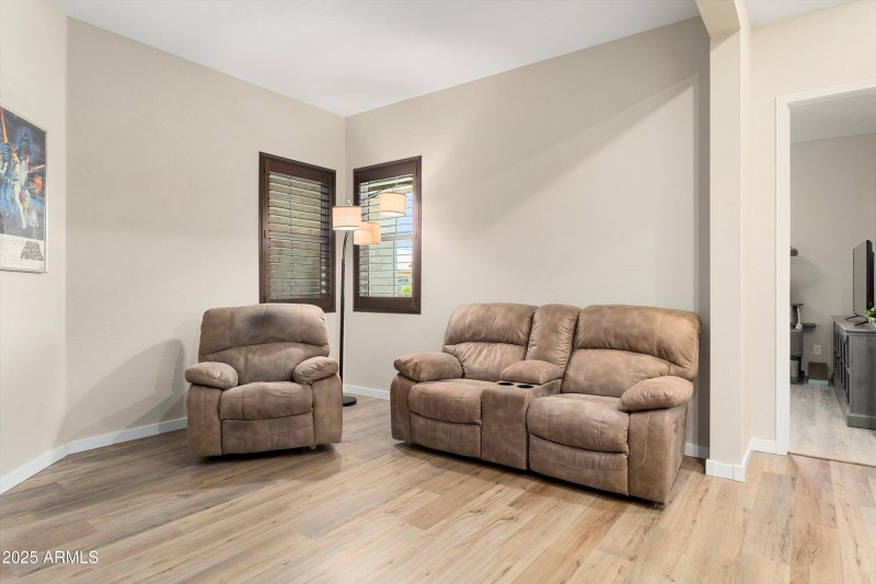 Den/Theater Room