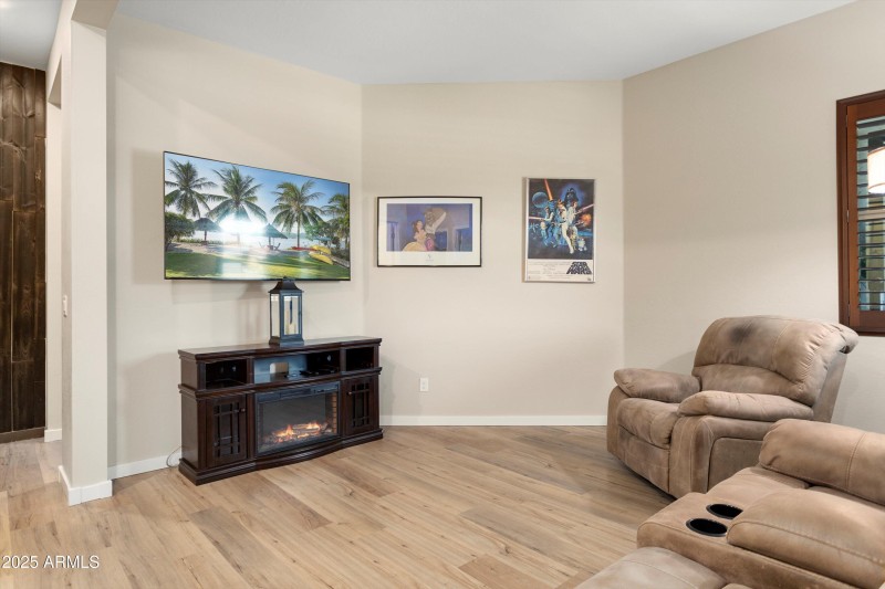Den/Theater Room